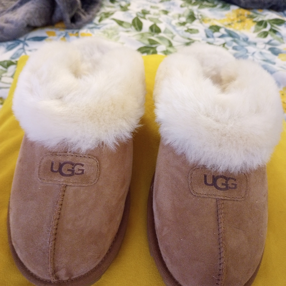 Ugg slippers